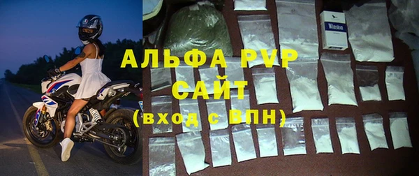 бошки Сясьстрой