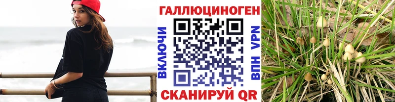 Псилоцибиновые грибы прущие грибы  Купить где  Нытва 